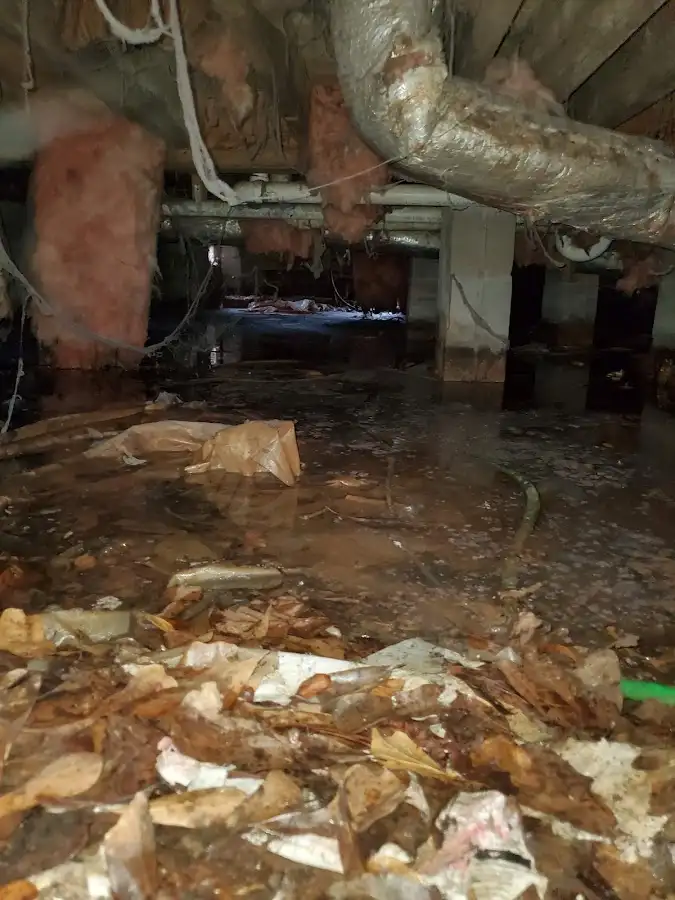 Crawl space flood assessment for Leak Detection & Repair in St. Charles