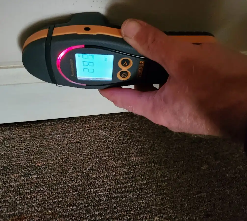 Moisture detection at baseboard during Mold Inspection & Testing in St. Charles